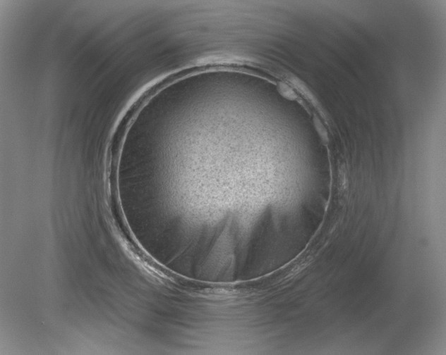X0000079581124200612081528
