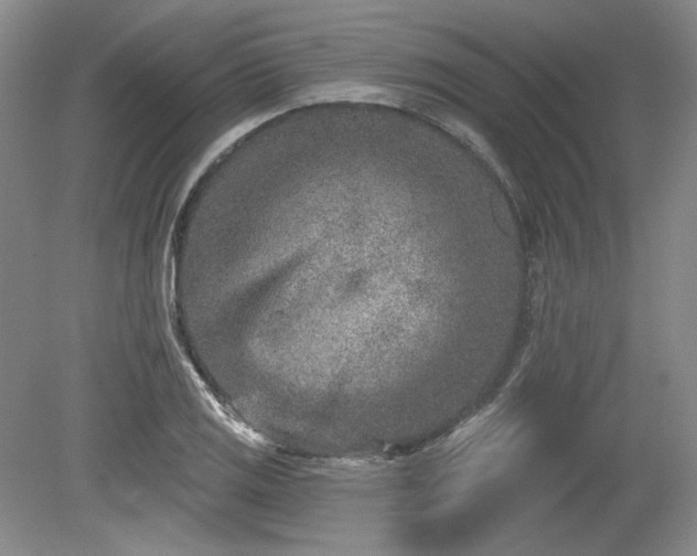 X0000079581125200612081528