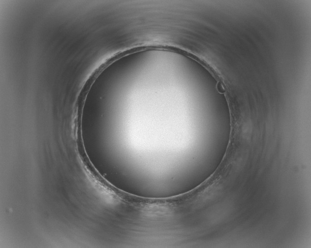 X0000079581126200612081528