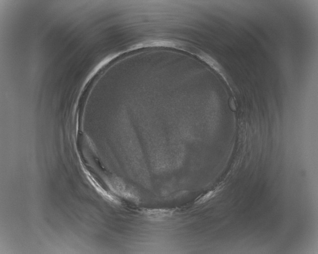 X0000079581127200612081528