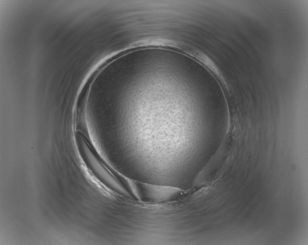 X0000079581132200612081528