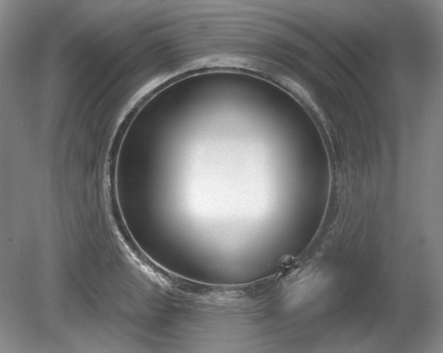 X0000079581133200612081528