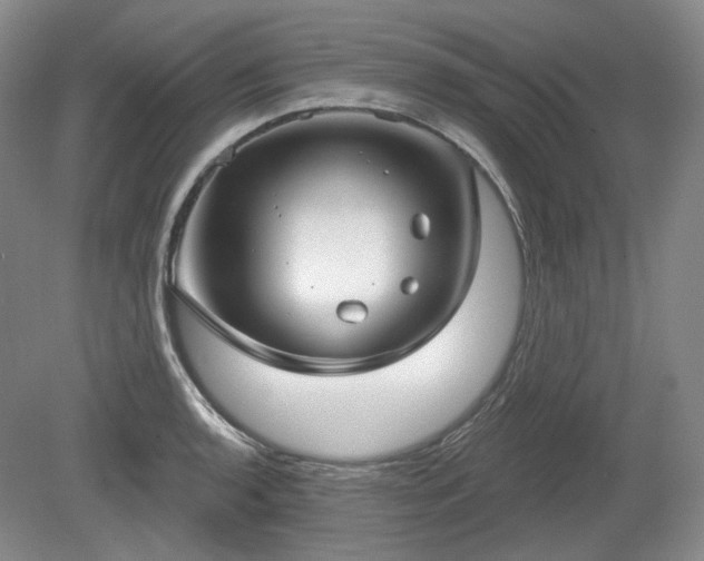 X0000079581136200612081528