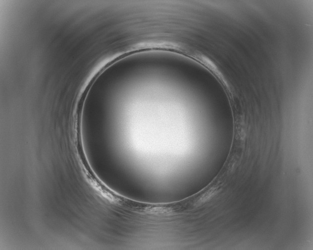 X0000079581140200612081528
