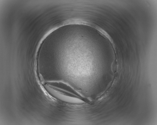 X0000079581144200612081529