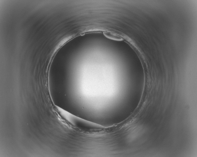 X0000079581145200612081529