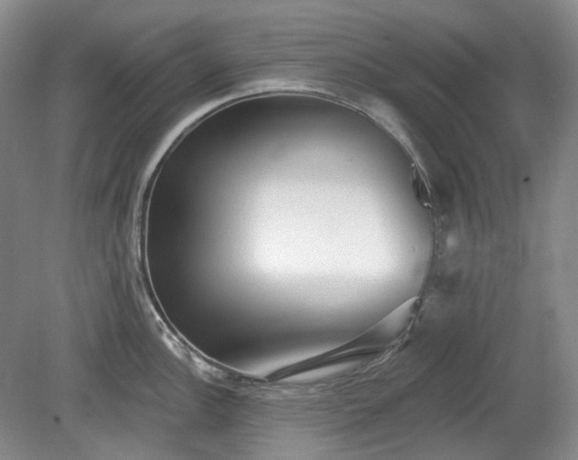 X0000079581148200612081529