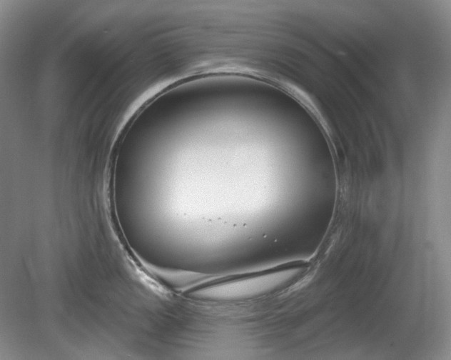 X0000079581149200612081529