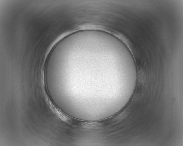 X0000079581150200612081529