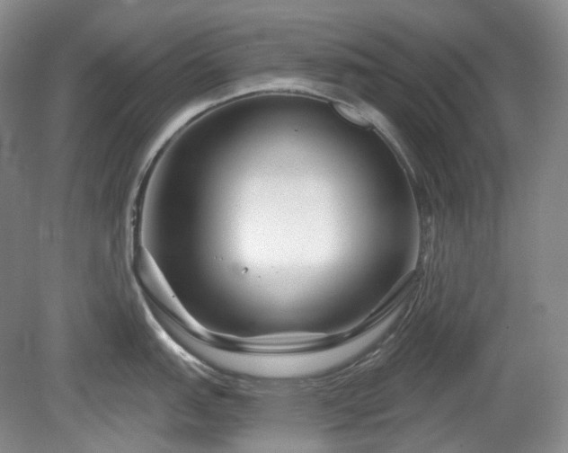X0000079581151200612081529