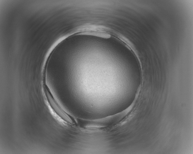X0000079581152200612081529