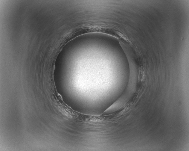 X0000079581153200612081528