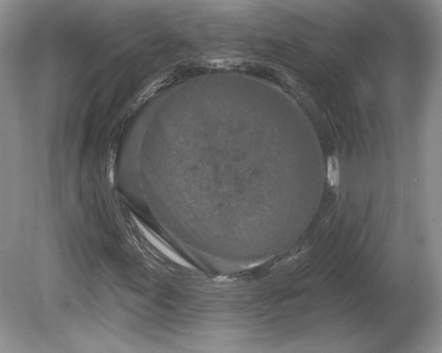 X0000079581155200612081528