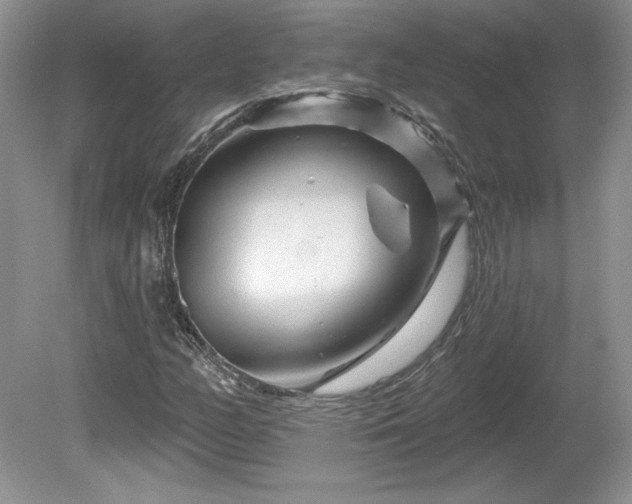 X0000079581158200612081528