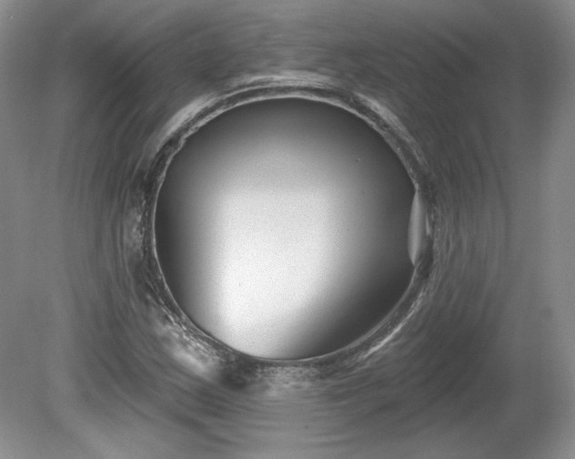 X0000079581163200612081528