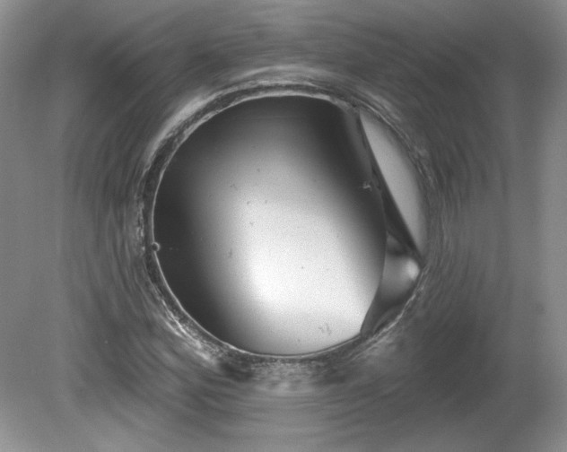 X0000079581164200612081528