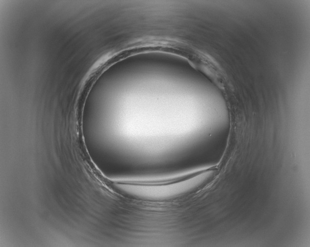 X0000079581172200612081528
