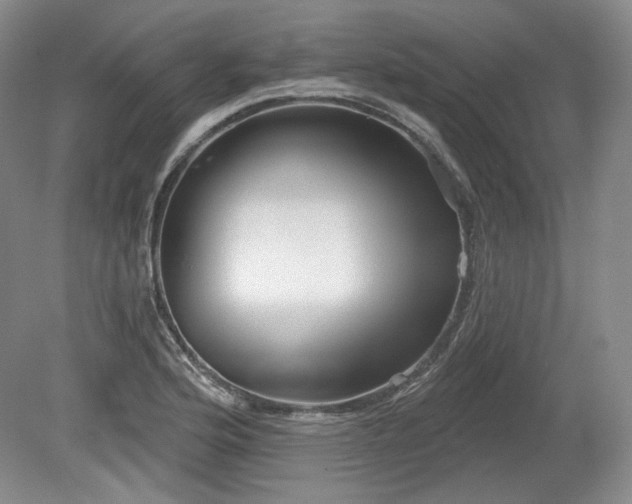 X0000079581176200612081527
