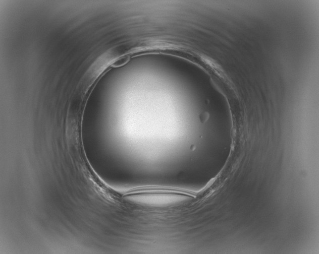 X0000079581177200612081527