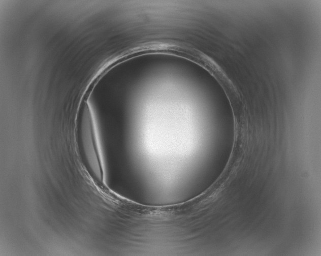 X0000079581178200612081527