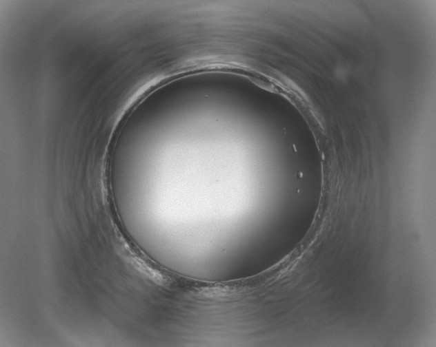 X0000079581182200612081527