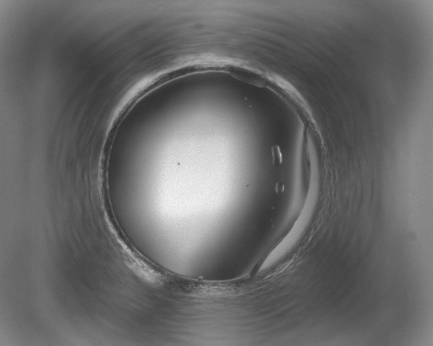 X0000079581183200612081527
