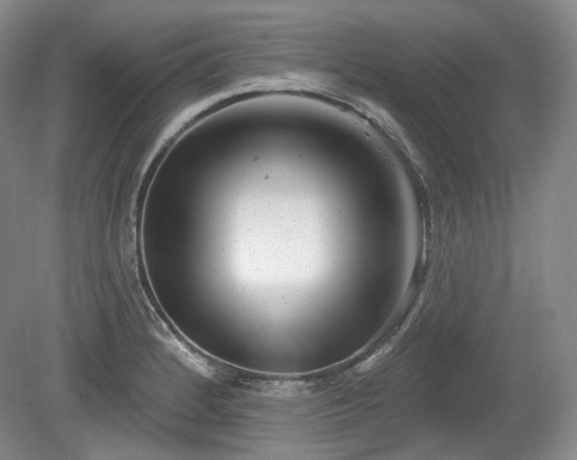 X0000079581184200612081527