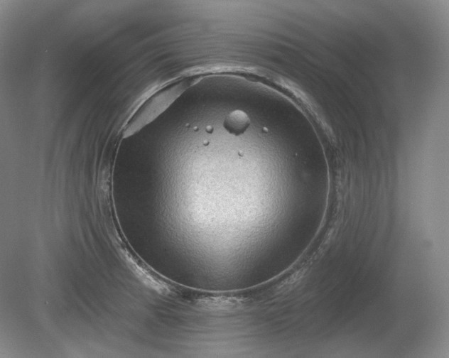 X0000079581185200612081527