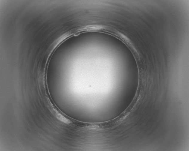 X0000079581186200612081527