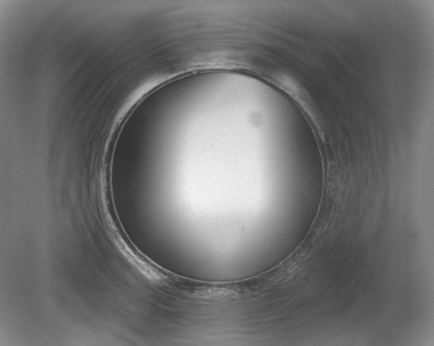 X0000079581187200612081527