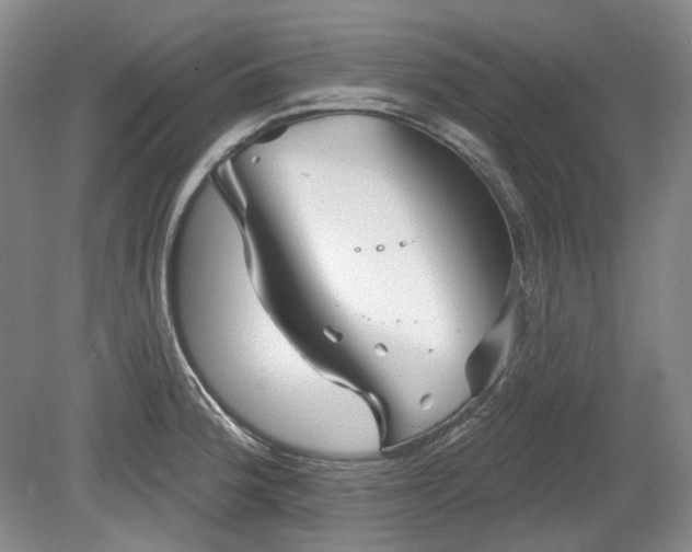 X0000079581188200612081527