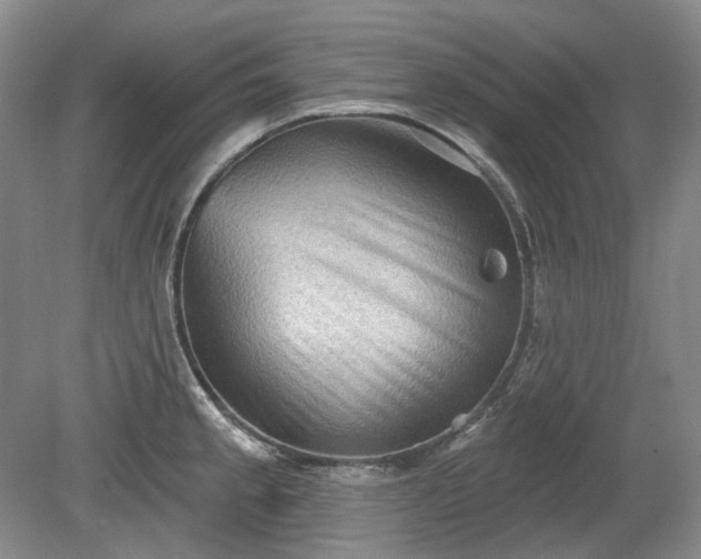 X0000079581189200612081527