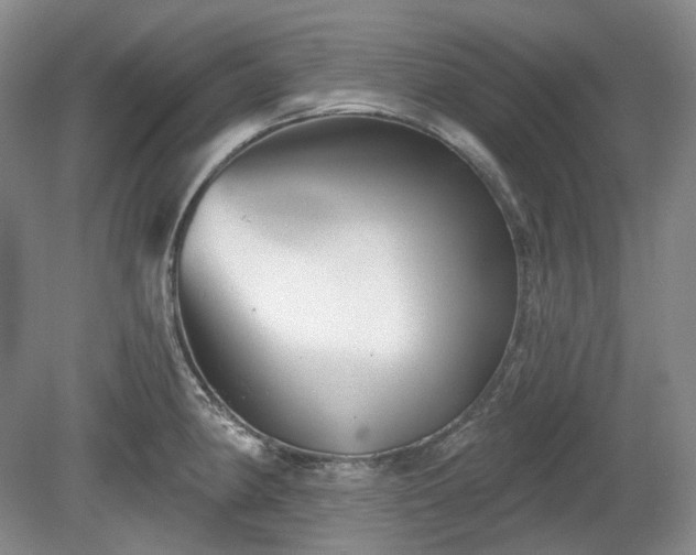 X0000079581190200612081527