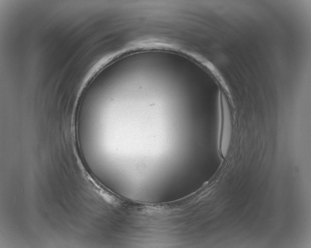 X0000079581191200612081527