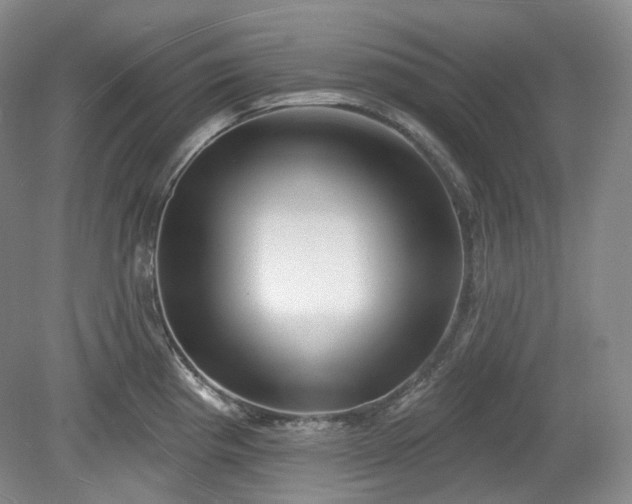X0000079581193200612081527