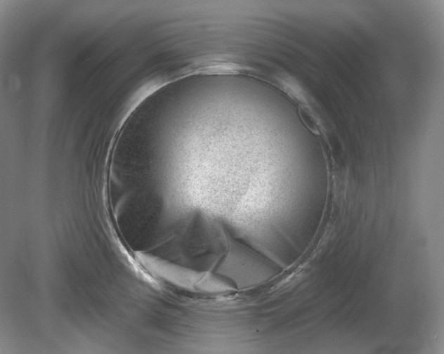 X0000079581194200612081527