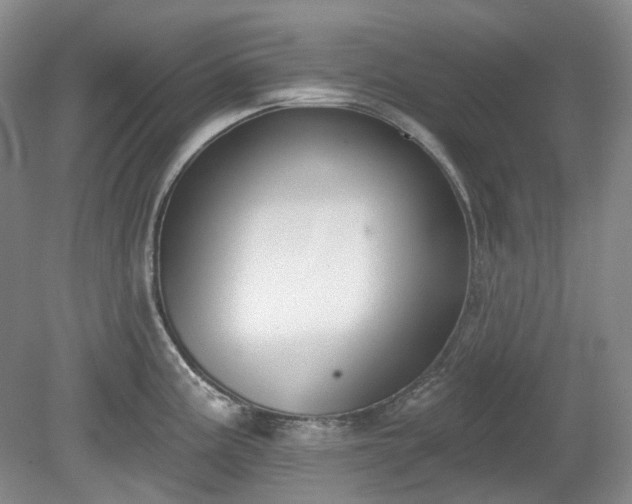 X0000079581195200612081527