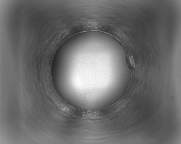 X0000079581201200612081526