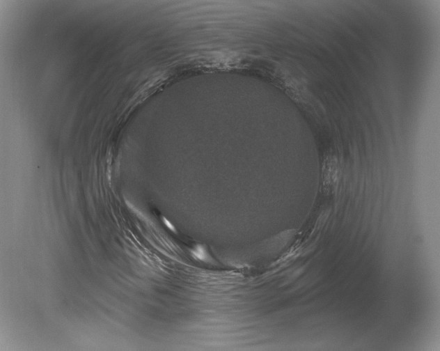 X0000079581202200612081526