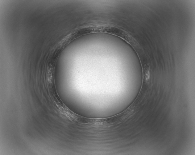X0000079581204200612081526