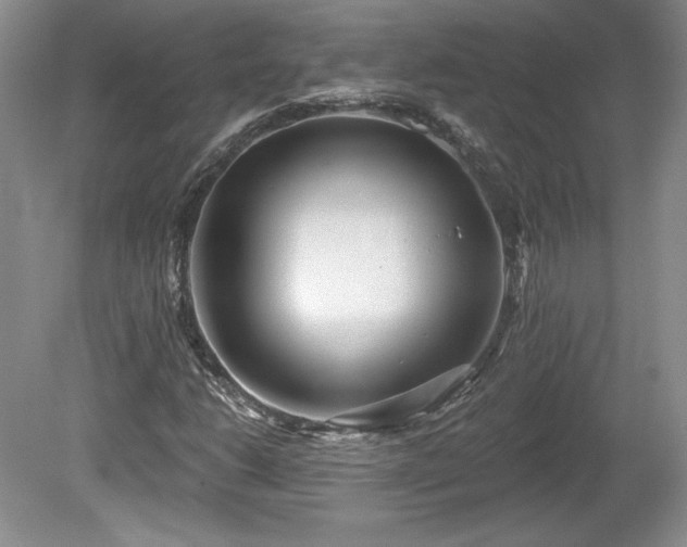 X0000079581206200612081526
