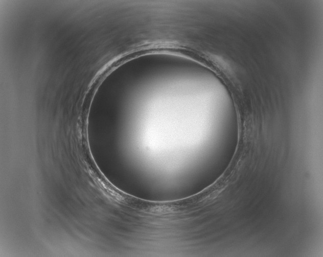 X0000079581212200612081526