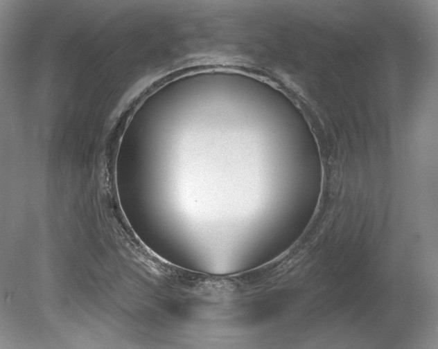X0000079581215200612081526
