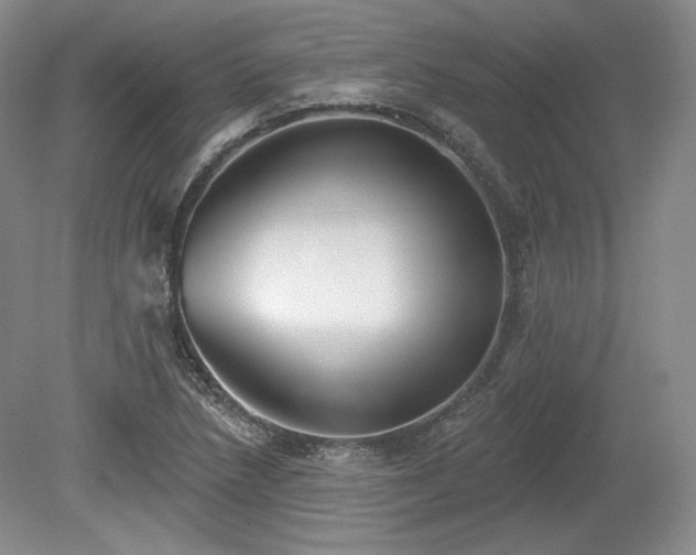 X0000079581218200612081527