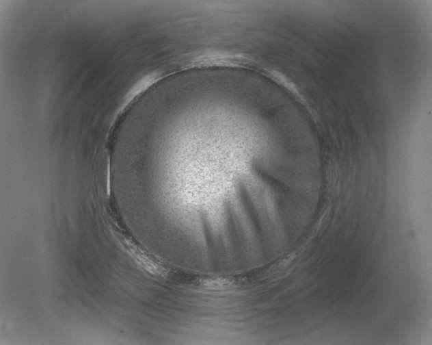 X0000079581219200612081527