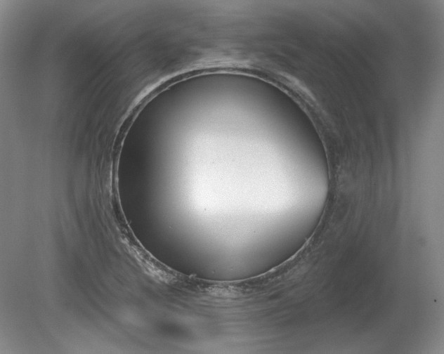 X0000079581220200612081527