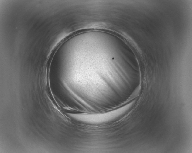 X0000079581224200612081527