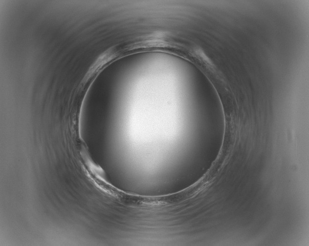 X0000079581225200612081527