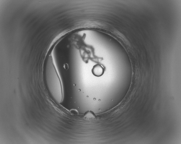 X0000079581226200612081527