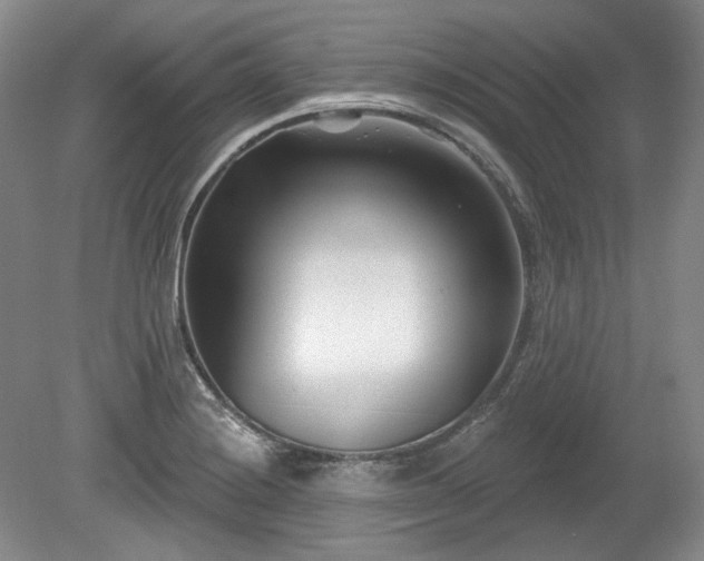 X0000079581228200612081527